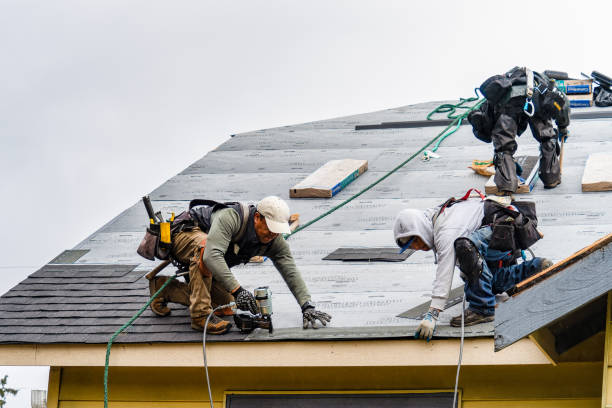 Professional Roofing technician working in Walford, IA